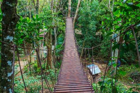 fuyot spring national park|Fuyot Springs National Parks .